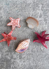 Marine Hair Clips