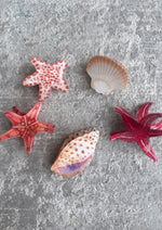 Marine Hair Clips
