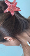 Marine Hair Clips