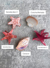 Marine Hair Clips
